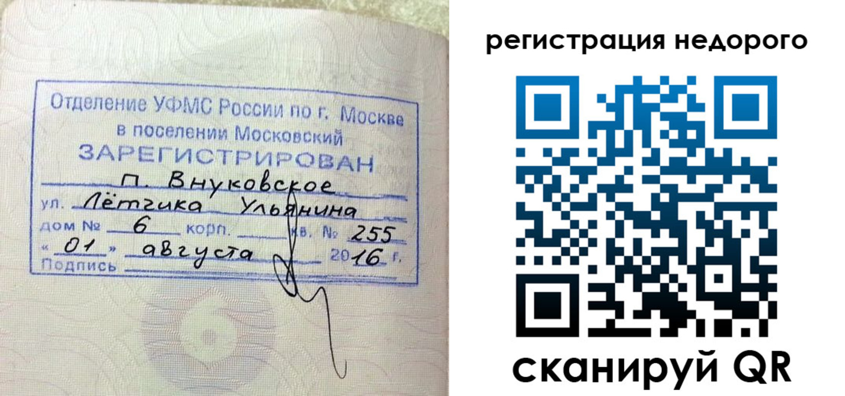 прописка в квартире в Елизово
